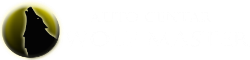 Tehnički pregled Wolf Master Niš Logo